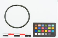 Foto von Bronzeamring (NHMW-PRAE-026238)